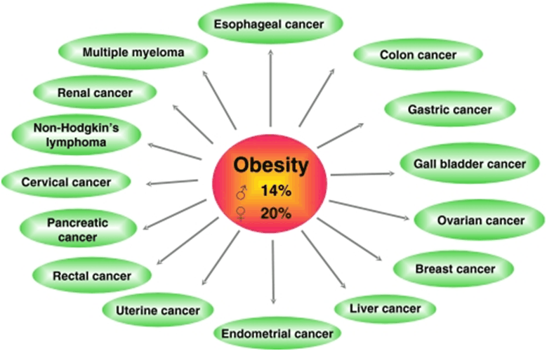 Studies Reveal Obesity Linked to Dozens Of Cancers